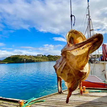 Charming Rorbu Lofoten Leilighet
