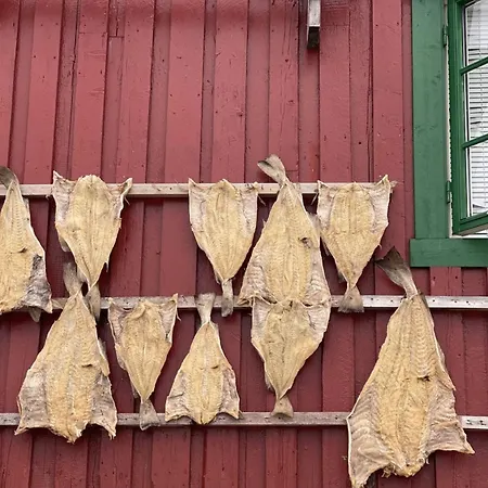 Charming Rorbu Lofoten *