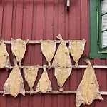 Charming Rorbu Lofoten *